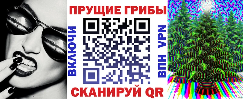 kraken зеркало  Колпашево  дарк нет клад  Галлюциногенные грибы Psilocybine cubensis 